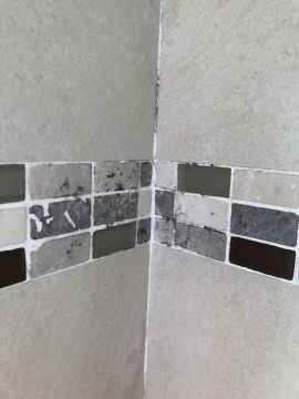 Mold Inspection and Removal