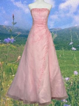 Custom Clothes Designer