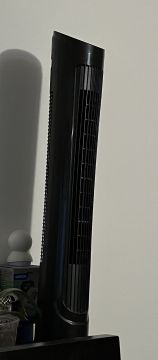 Fan Repairman