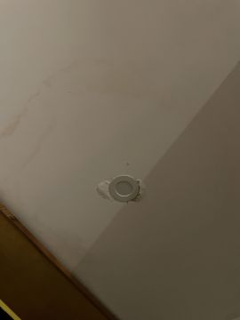 Inspección y eliminación de moho - Limpieza
