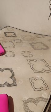 Mattress Cleaner