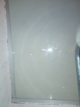 Mold Removal Expert