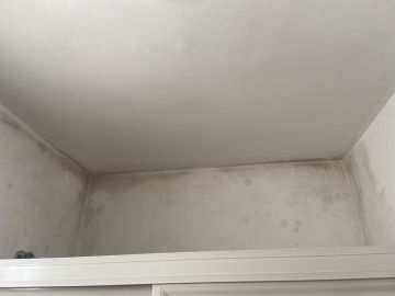 Mold Removal Expert