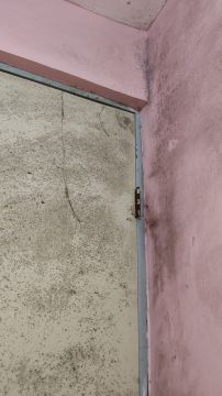 Inspección y eliminación de moho