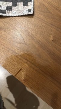 Furniture Repair Professional