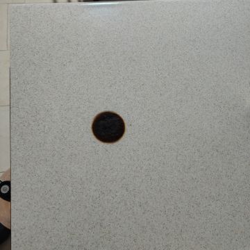 Furniture Repair Professional
