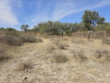 Land clearance specialist - Home Improvements