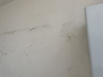 Inspección y eliminación de moho - Limpieza