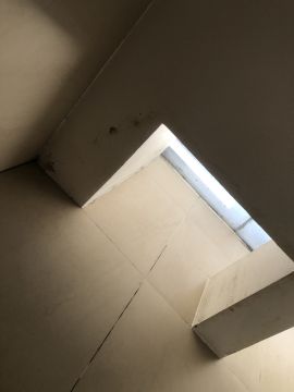 Experto en eliminación de moho