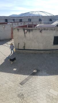 Técnico en jardinería para la instalación de sistemas de aspersores