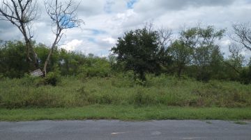 Land clearance specialist