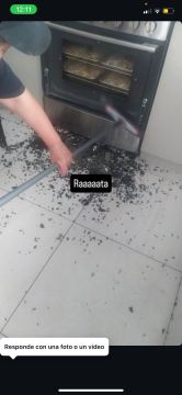 Especialista en hornos y estufas