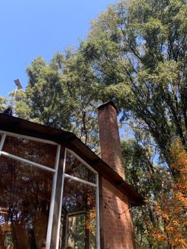 Tree Trimming and Maintenance