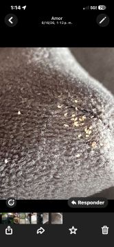 Exterminator Companies