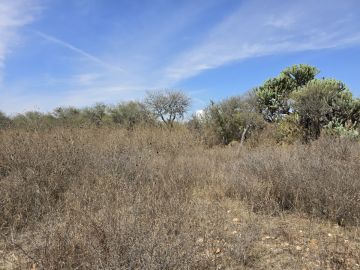 Land Clearance - Lawncare