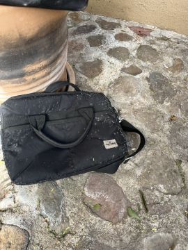 Mold Inspection and Removal