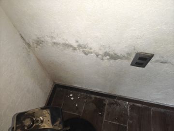 Inspección y eliminación de moho