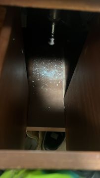 Mold Removal Expert
