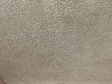 Mold Inspection and Removal