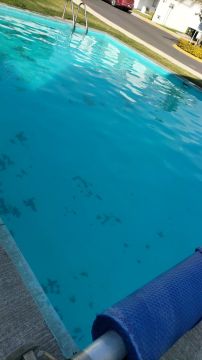 Pool Repair - Home Improvements