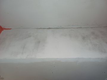 Mold Removal Expert