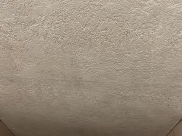 Mold Removal Expert