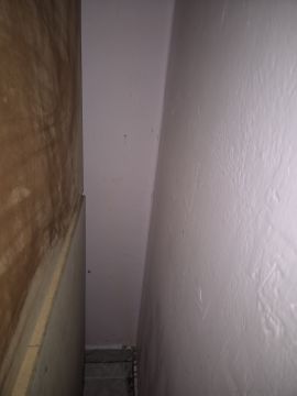 Inspección y eliminación de moho