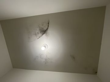Inspección y eliminación de moho