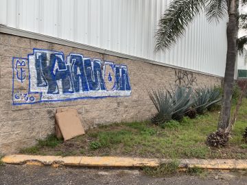 Jardinero para deshierbar - Hogar