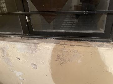 Mold Inspection and Removal - Cleaning