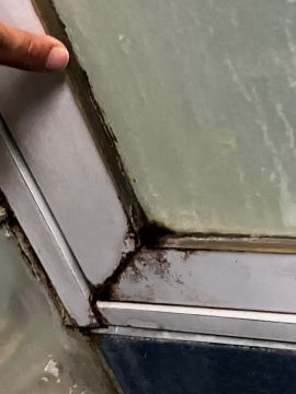 Mold Inspection and Removal