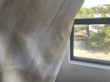 Experto en eliminación de moho
