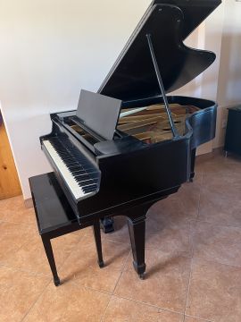 Servicio de mudanzas de pianos