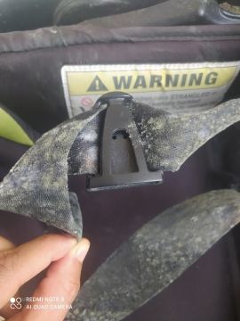 Experto en eliminación de moho