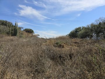 Land Clearance