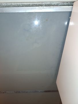 Mold Inspection and Removal