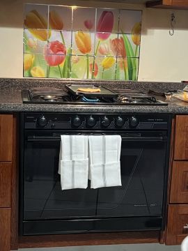 Oven & Stove Specialist