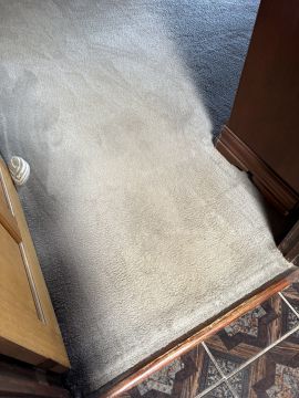 Carpet Cleaner - Domestic Services