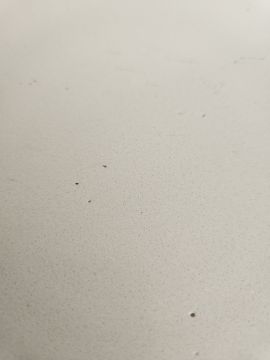 Countertop Repair or Maintenance