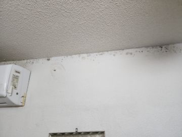 Cleaning - Domestic Services