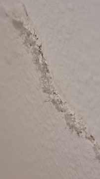 Mold Removal Expert