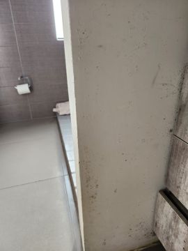 Mold Removal Expert
