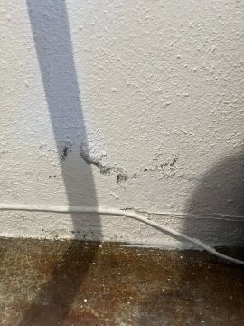 Mold Removal Expert - Domestic Services
