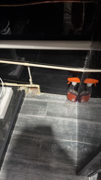 Instalador de lavavajillas - Asistencia Técnica
