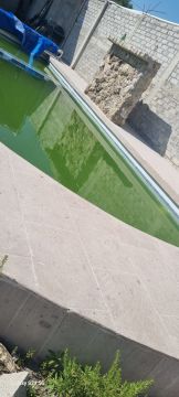 Pool Cleaner