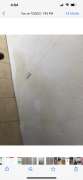 Mold Inspection and Removal