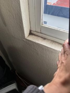 Mold Inspection and Removal - Cleaning
