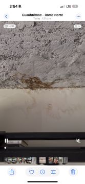 Inspección y eliminación de moho