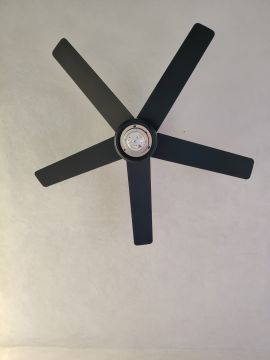 Fan Repairman