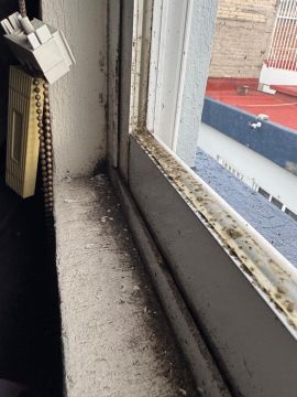 Cleaning